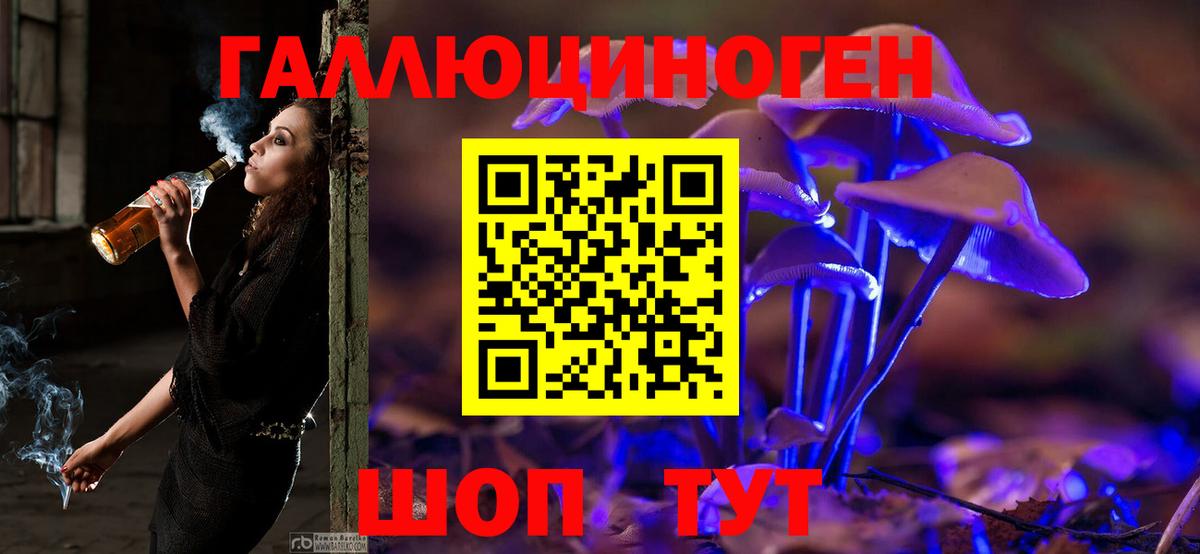 Галлюциногенные грибы мицелий  Вход с VPN  Шахты  Галлюциногенные грибы прущие грибы 