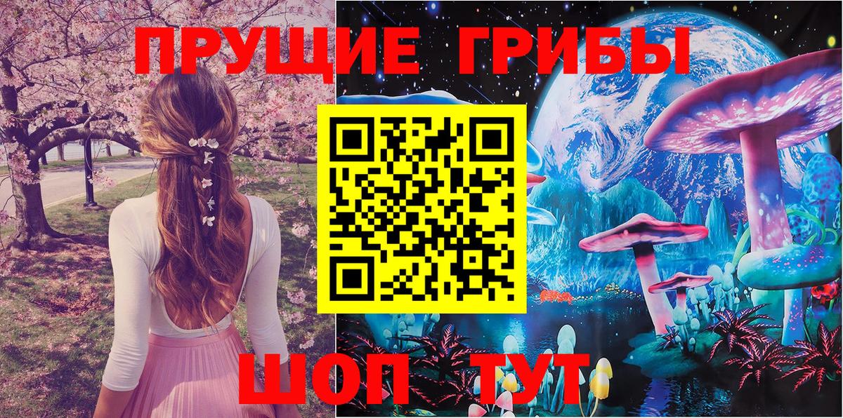 Галлюциногенные грибы Cubensis Шахты